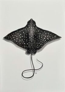 Eagle Ray in watercolour_s