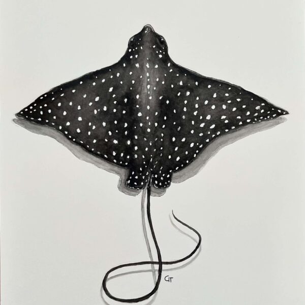 Eagle Ray