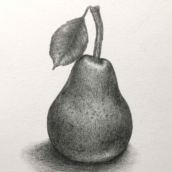 Pear