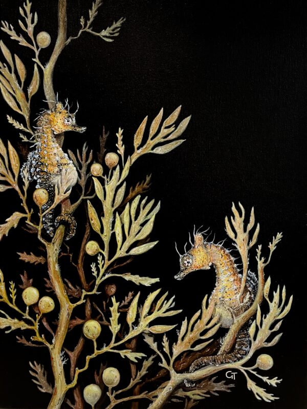 Subterfuge in Seaweed