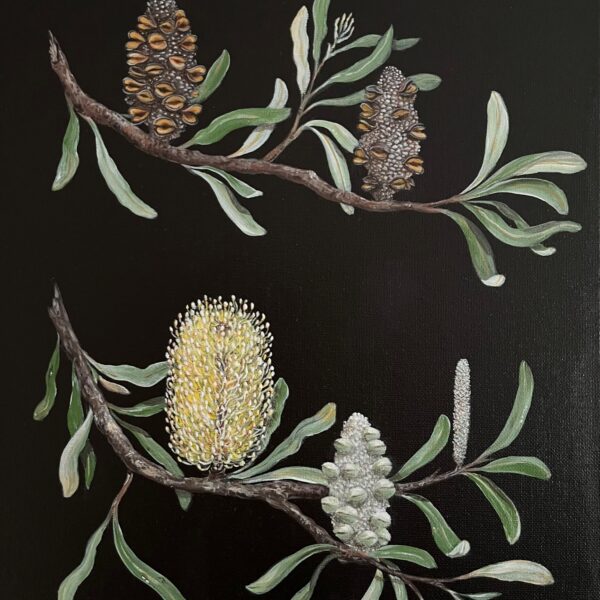 Banksia