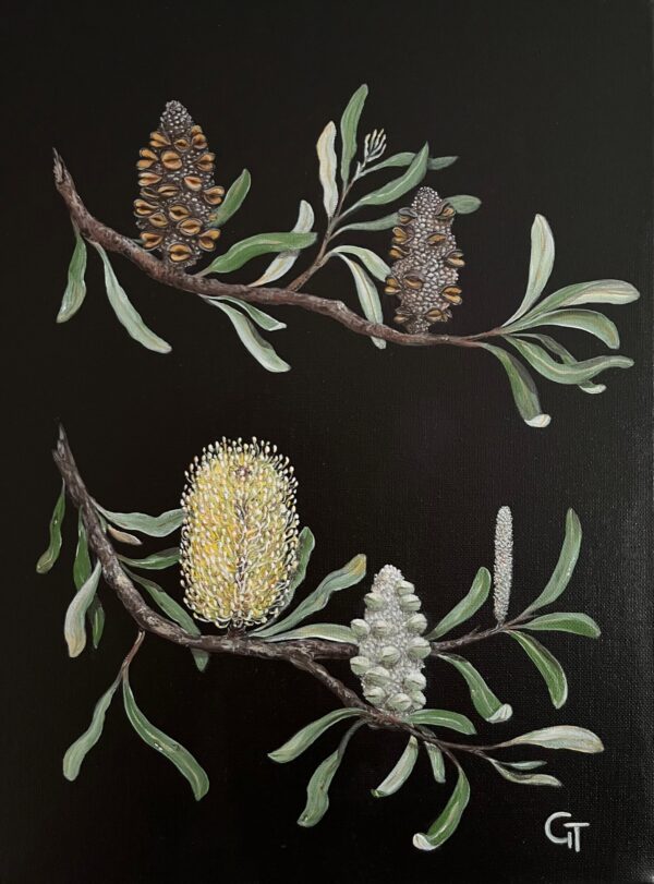 Banksia