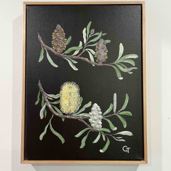 Regeneration (Framed Coastal Banksia)