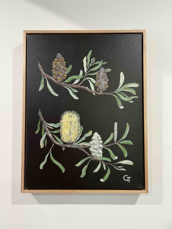 Regeneration (Framed Coastal Banksia)