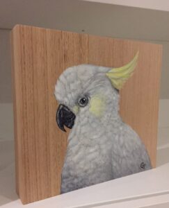 cockatoo_s