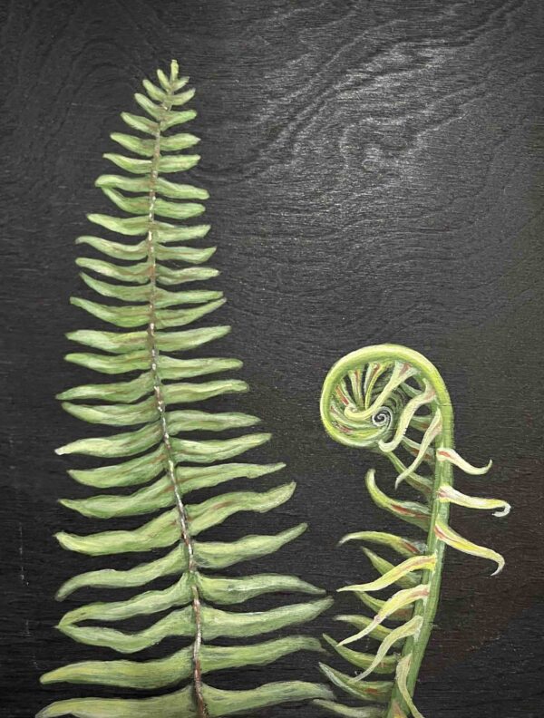 Ferns gift commission