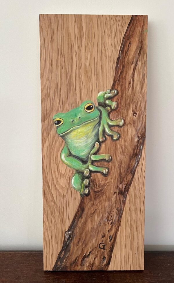 Green Tree Frog