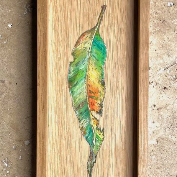 Gum Leaf on Recycled Timber